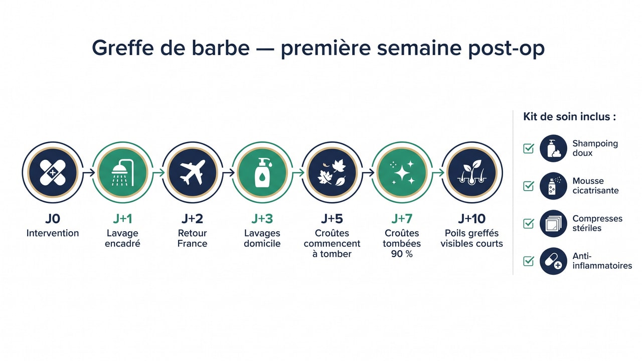Chronologie première semaine post-greffe de barbe — protocole de cicatrisation Renaissance Clinique