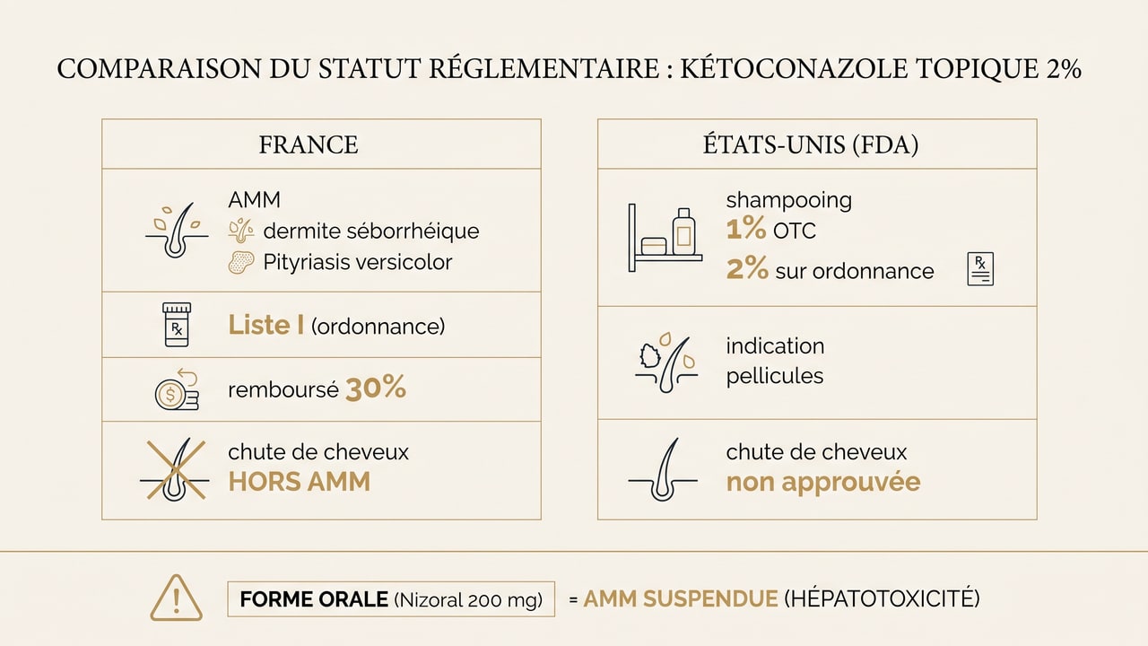 Infographie comparant le statut réglementaire du kétoconazole topique en France et aux États-Unis, et rappelant la suspension de la forme orale.