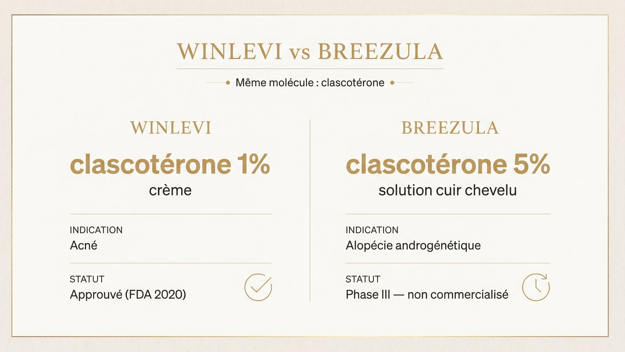 Tableau comparatif Winlevi (acné, 1 %) et Breezula (alopécie, 5 %) — même molécule clascotérone